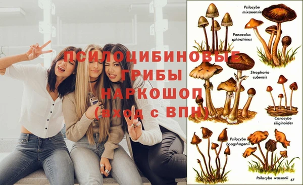 прущая мука Кулебаки